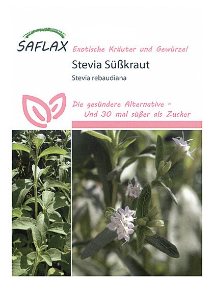 Stevia Süßkraut, 100 Samen