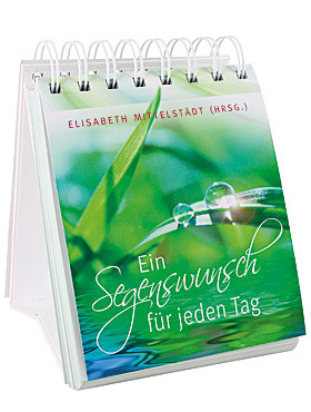 Ein Segenswunsch für jeden Tag, 376 Seiten