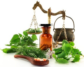 Zitwerwurzel, gemahlen, 50 g