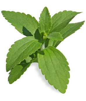 Stevia Tropfen, 100 ml