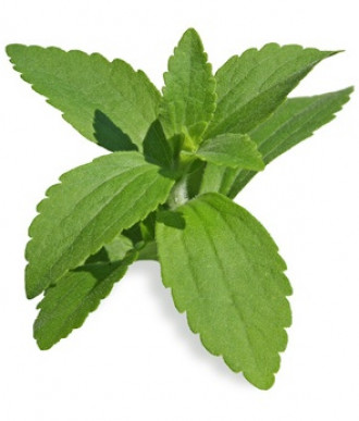 Stevia Tropfen, 100 ml